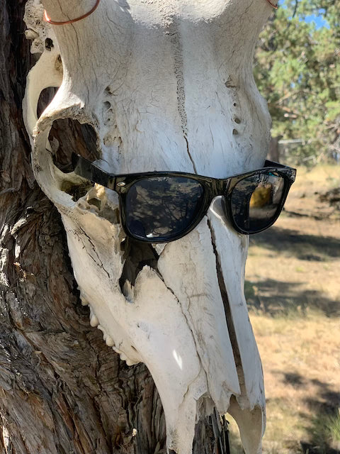 Classic Black Sunnies.